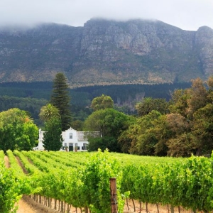 Cape Winelands