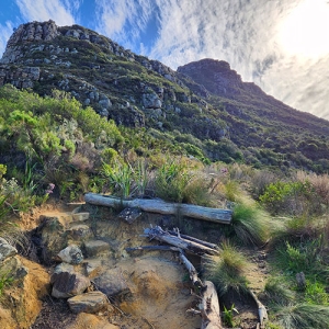 Constantia Nek Trail