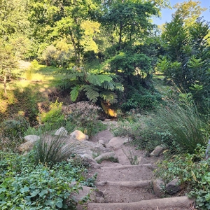 Klaasenbosch Trail