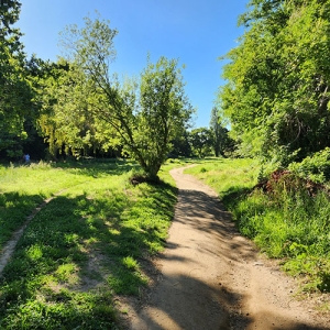 Silverhurst Trail