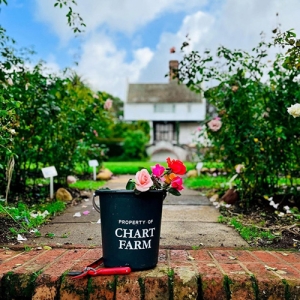 Chart Farm - Rose Picking