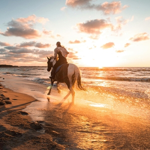 Noordhoek Beach Rides