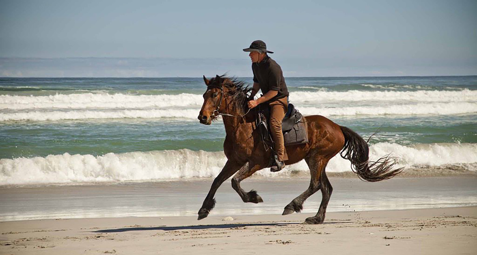 Noordhoek Beach Rides - Slider 1920 X 1025 - 1