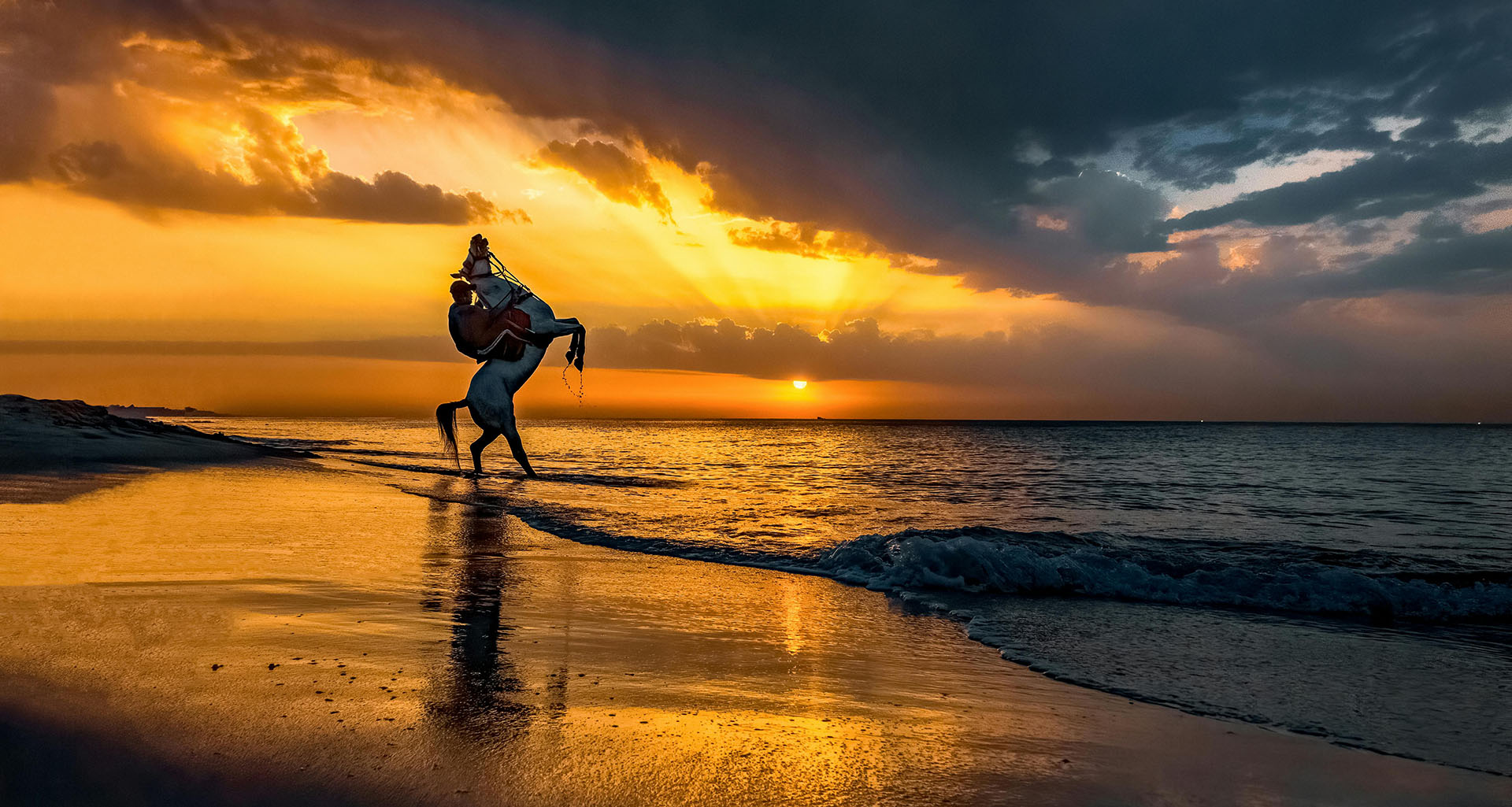 Noordhoek Beach Rides - Slider 1920 X 1025 - 2