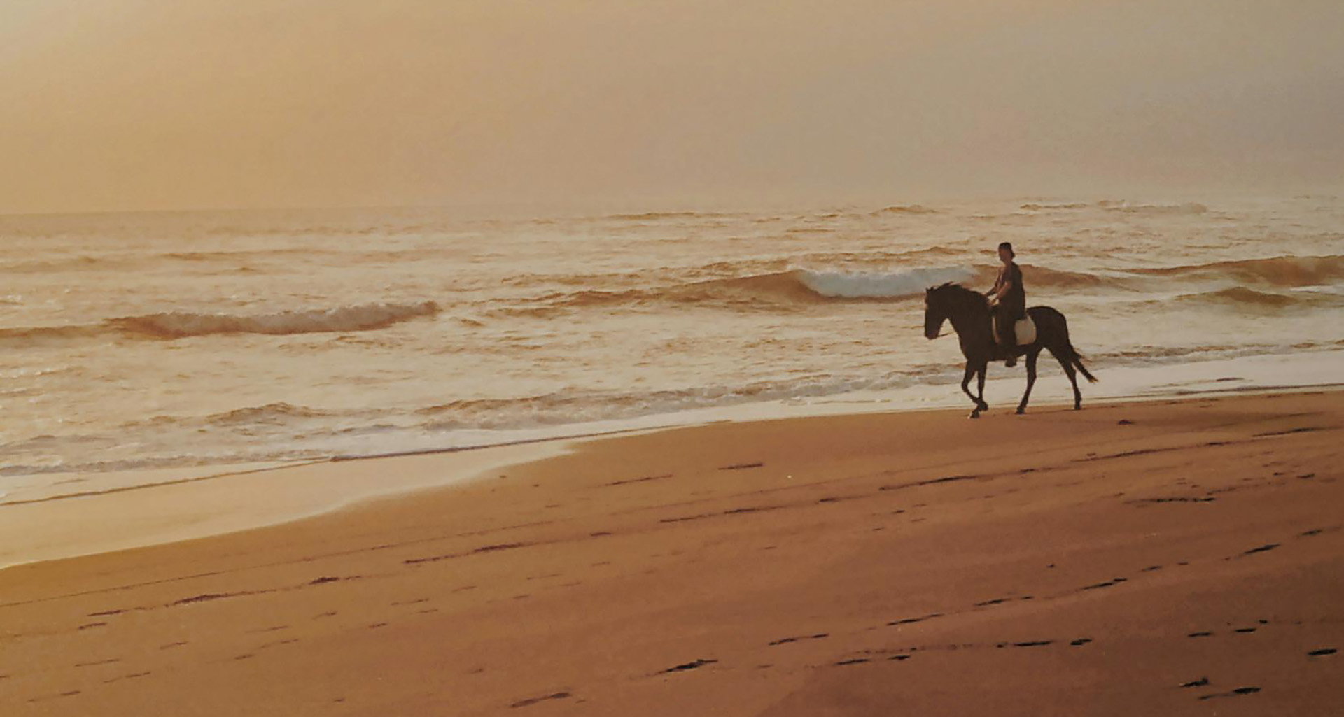 Noordhoek Beach Rides - Slider 1920 X 1025 - 3