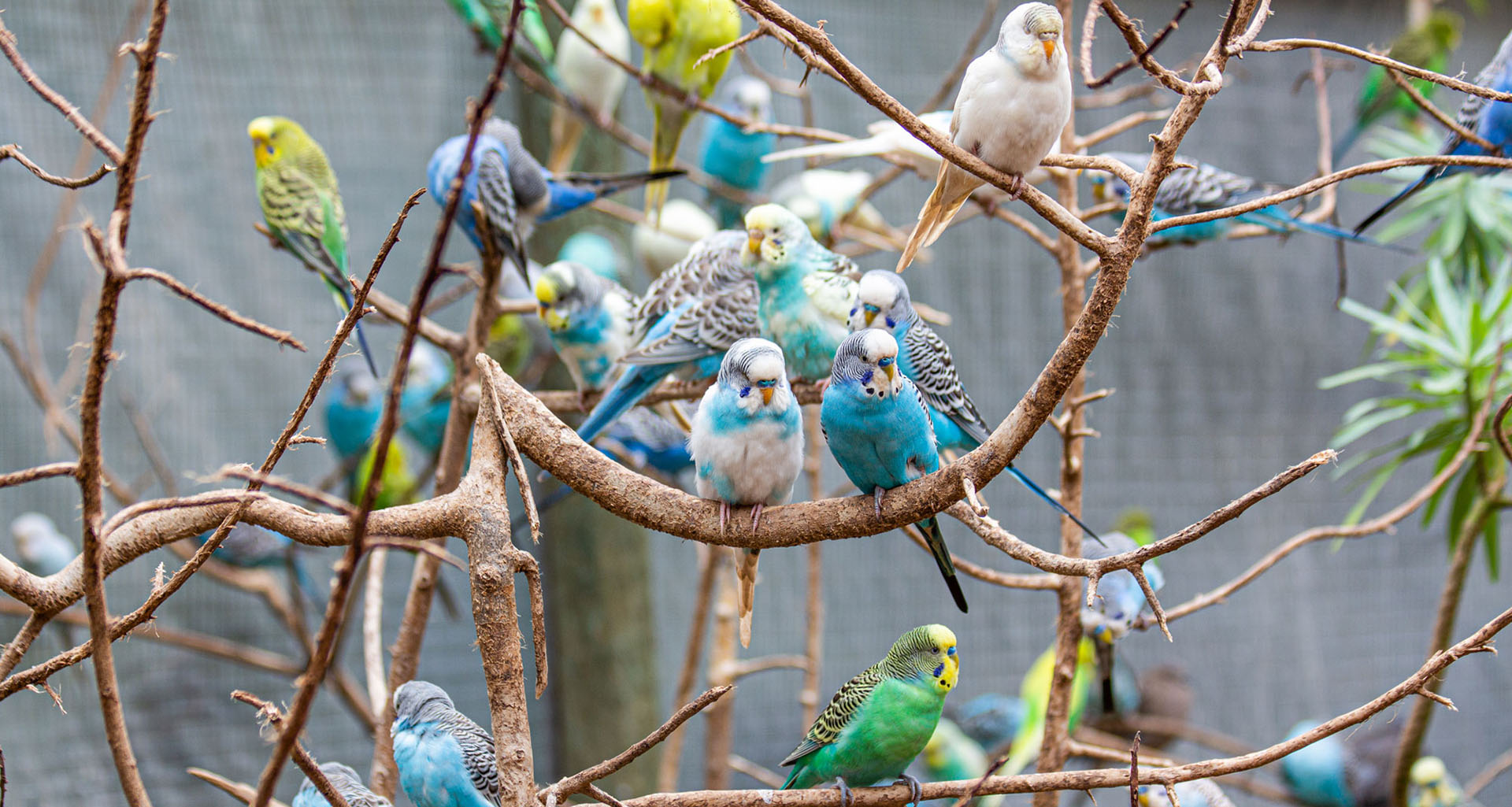 Photo by Marten Kaehler