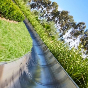 Cool Runnings