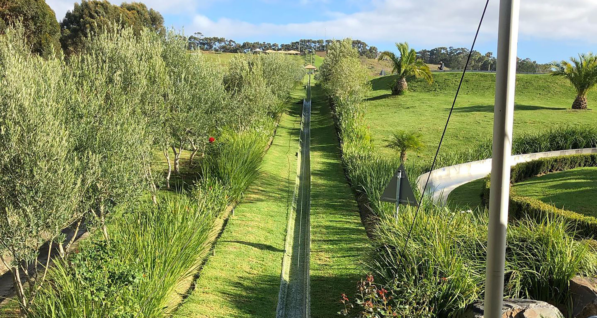 Cool Runnings - Slider 2 - 1920x1025