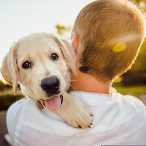 What A Treat Pet Care