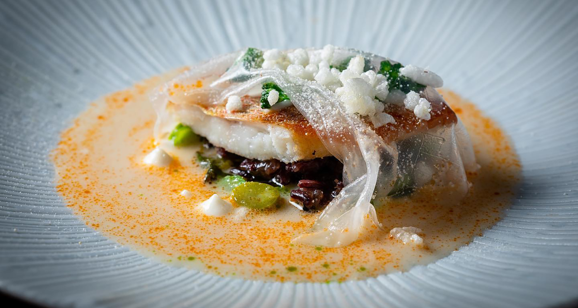 Salsify - Slider 2 - 1920x1025