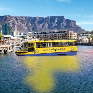 The Waterfront Duck