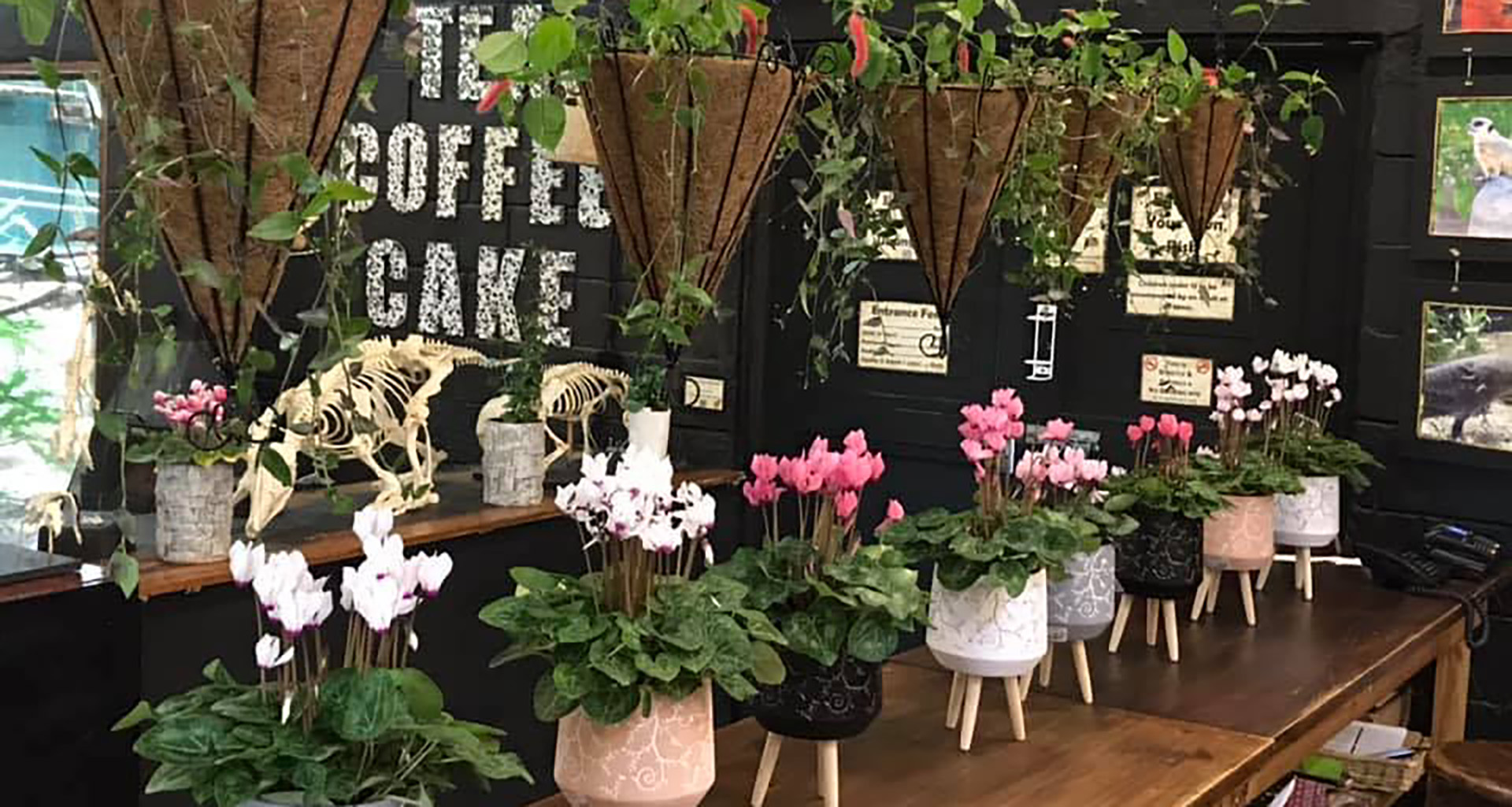 Exotic Animal World - Slider 6 - 1920x1025