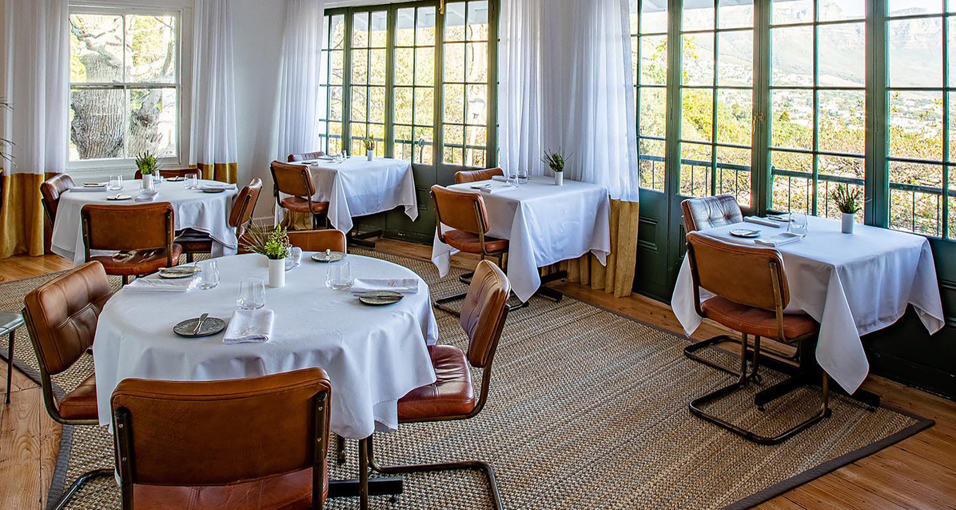 Salsify - Slider 1 - 1920x1025