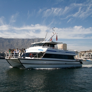 Waterfront Charters