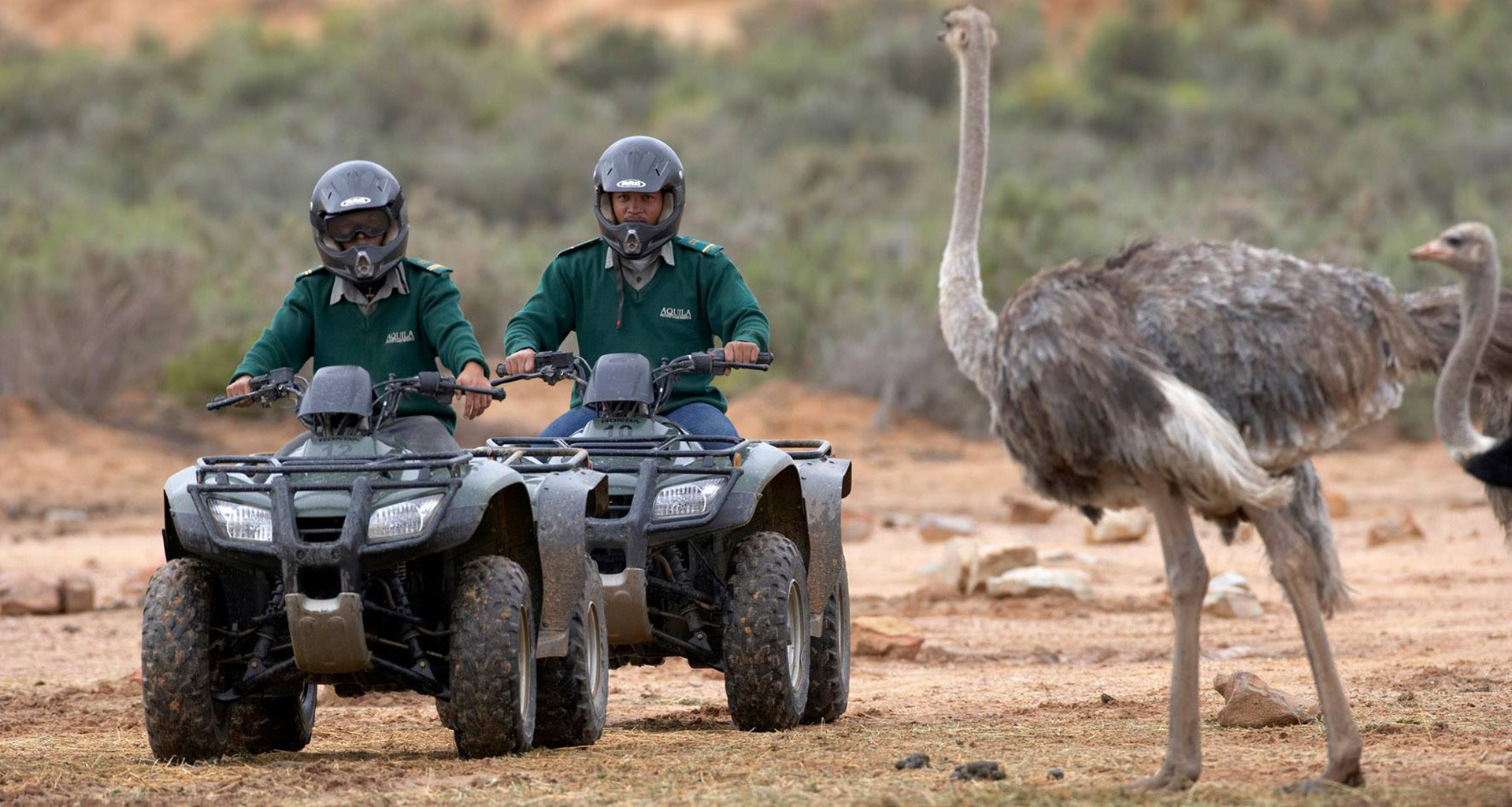 Aquila - Slider 1 - 1920x1025