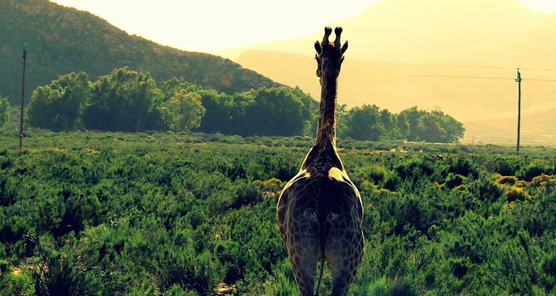 Aquila - Slider 2 - 1920x1025