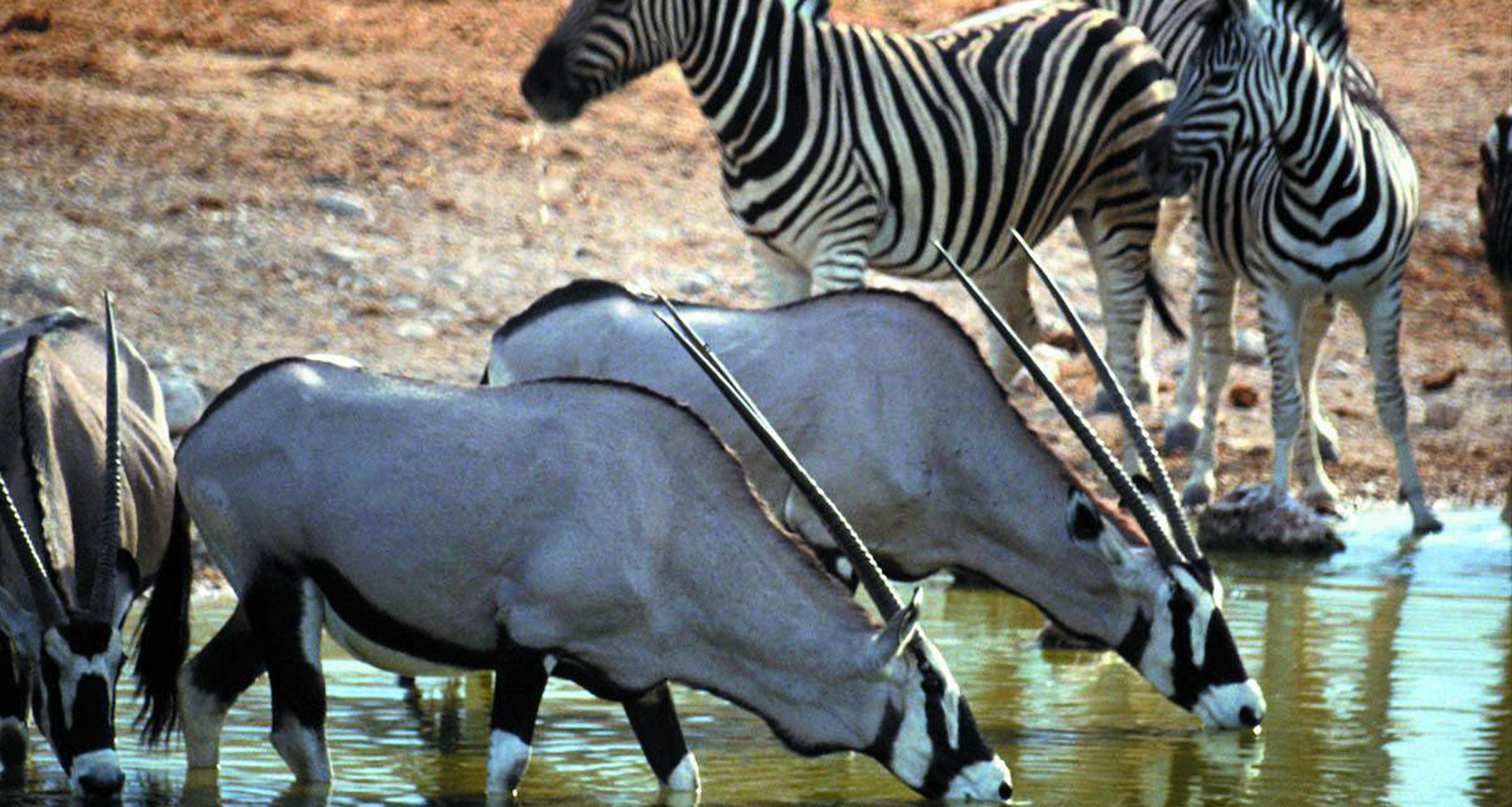 Aquila - Slider 3 - 1920x1025