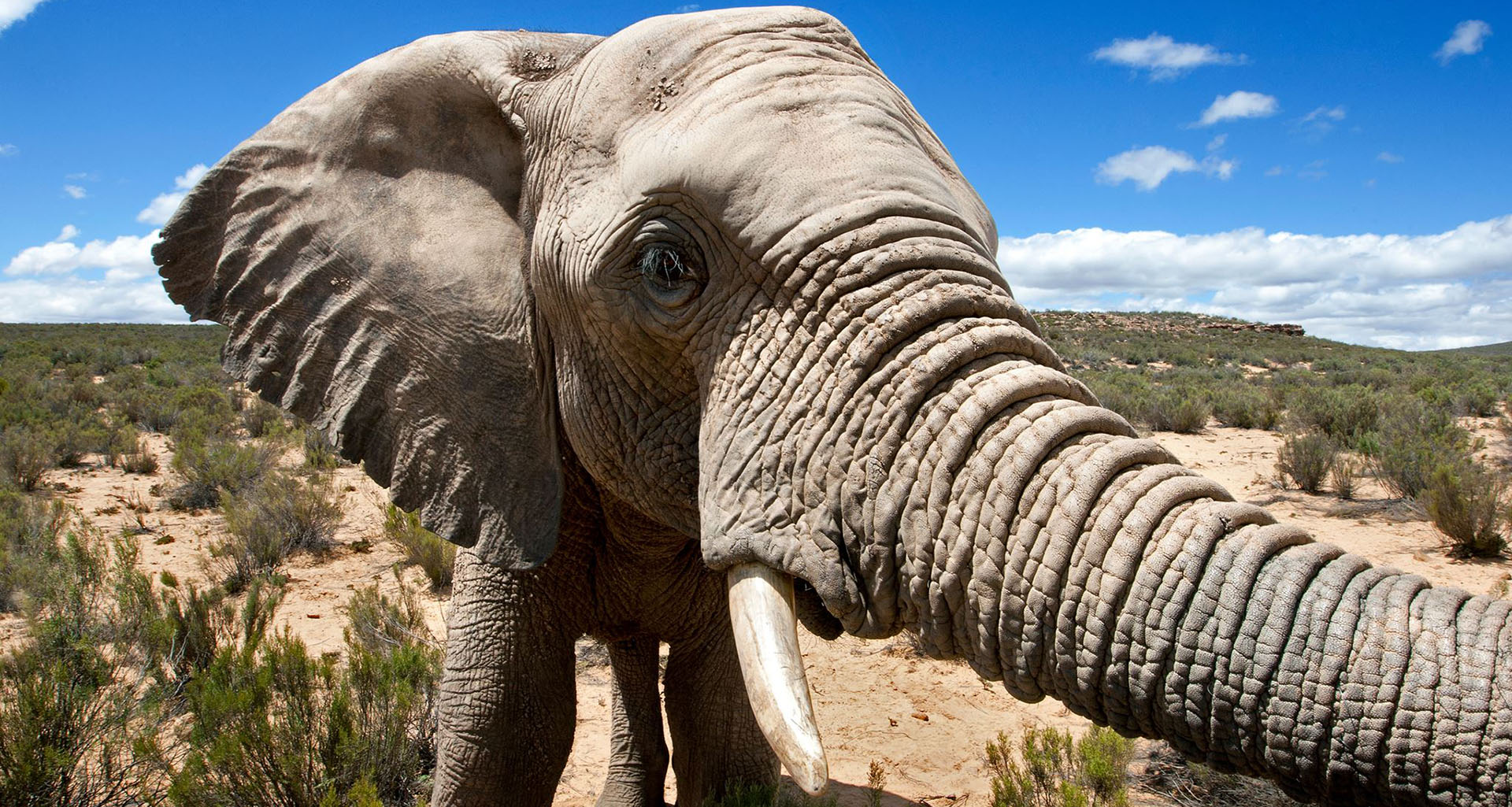 Aquila - Slider 4 - 1920x1025