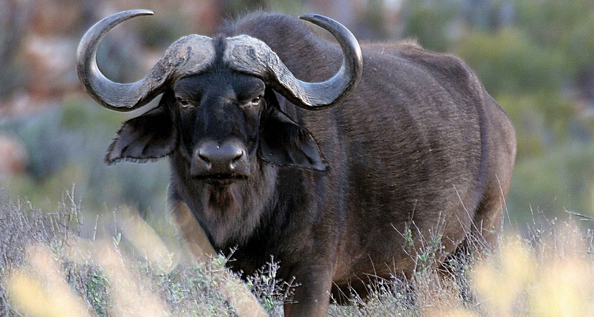 Aquila - Slider 5 - 1920x1025