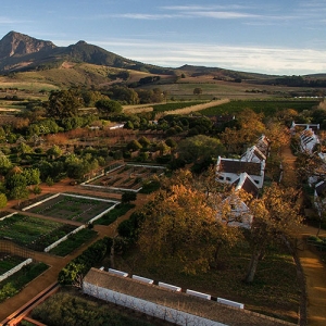 Babylonstoren Wine Estate
