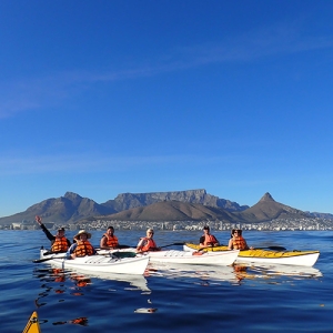 Kayak Adventure Sea Point Tour