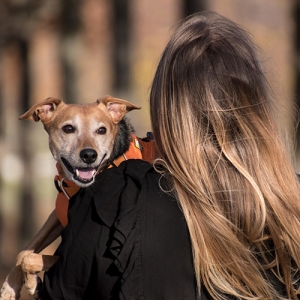 Mary Puppins Pet Services