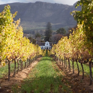 Buitenverwachting Wine Estate