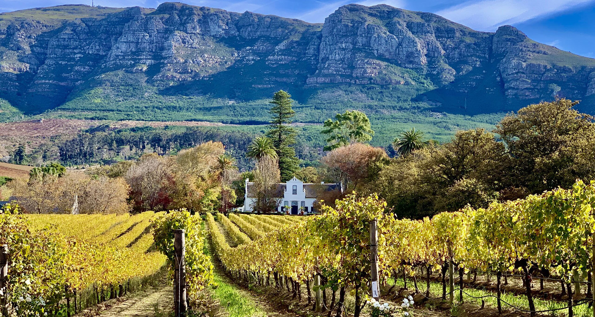 Buitenverwachting - Slider 2 - 1920x1025