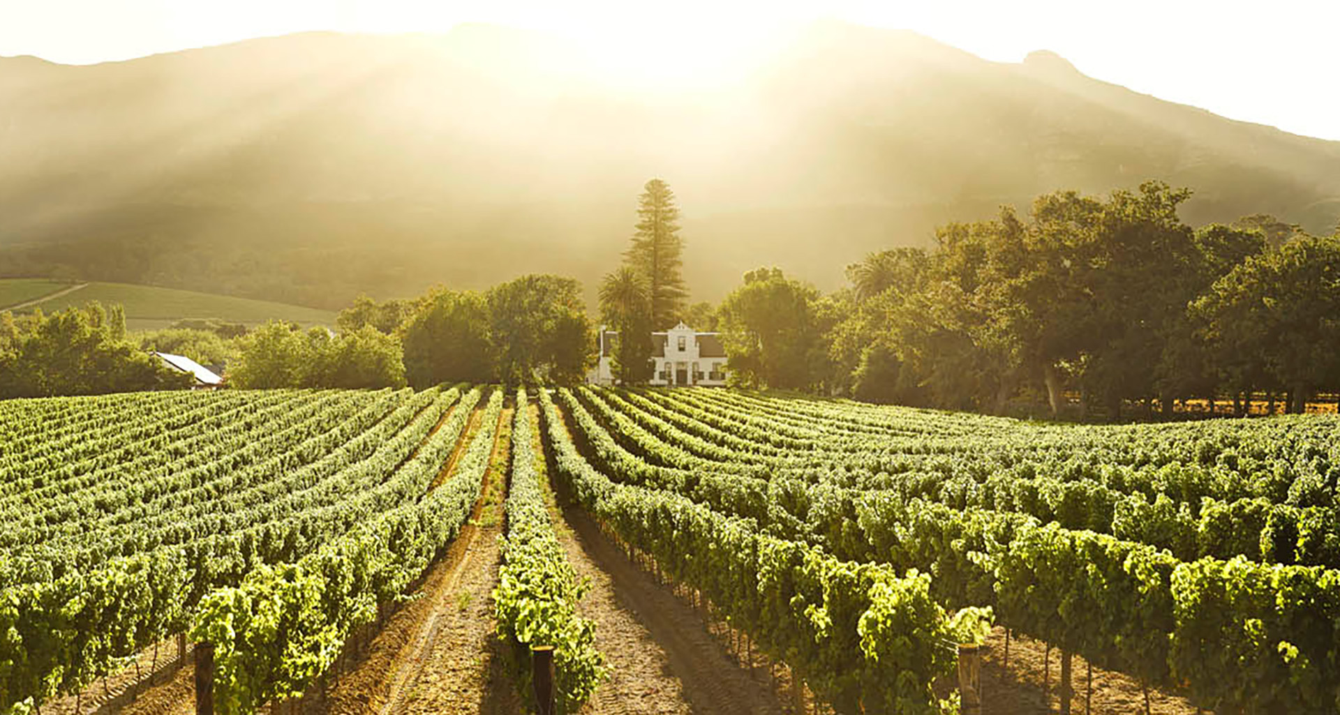 Buitenverwachting - Slider 6 - 1920x1025