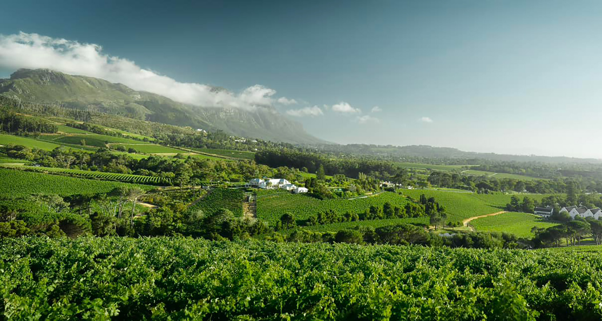 Buitenverwachting - Slider 7 - 1920x1025