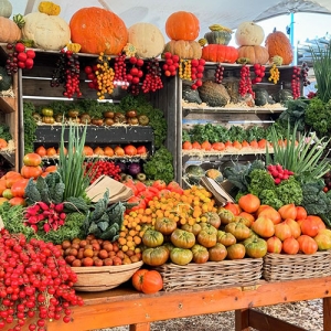 Oranjezicht City Farm Market