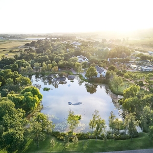 Spier Wine Farm