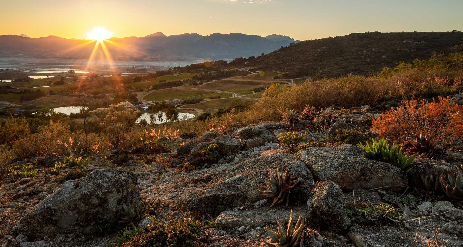 Wine Tour 3 Estates - Slider 1 - 1920x1025