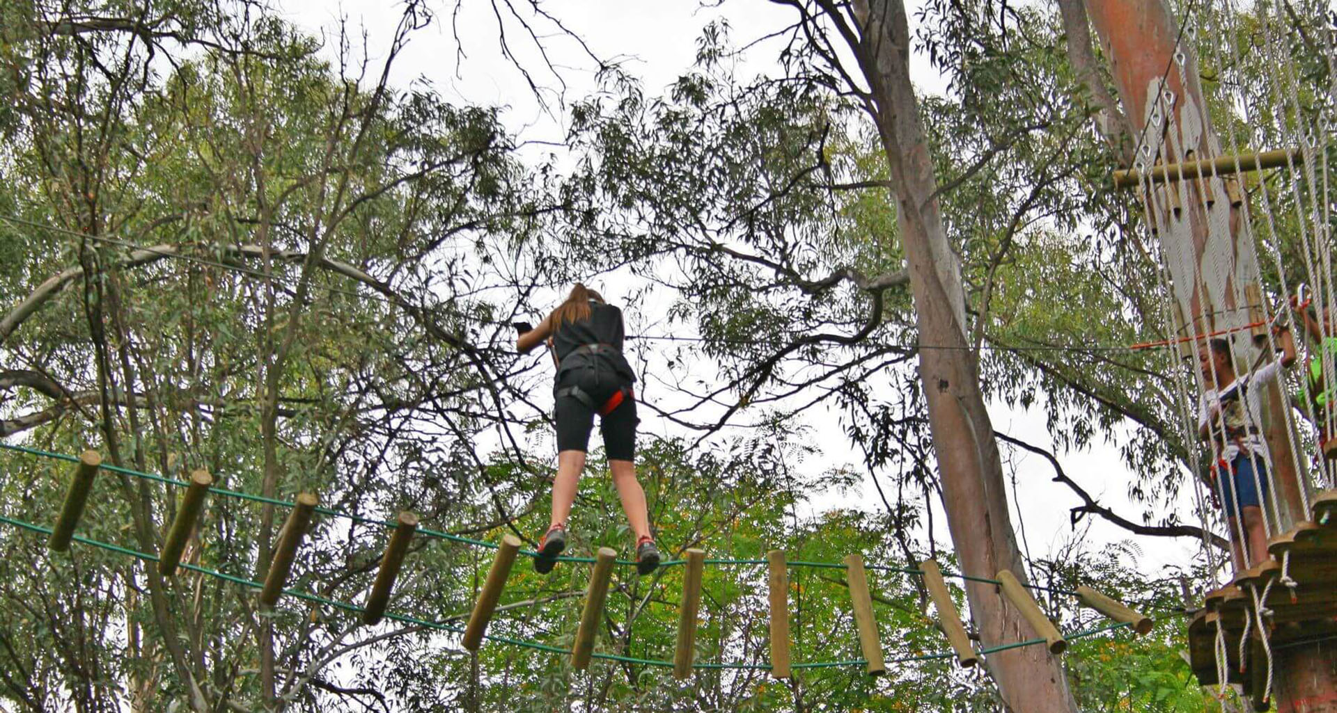 Acrobranch - Slider 2 - 1920x1025