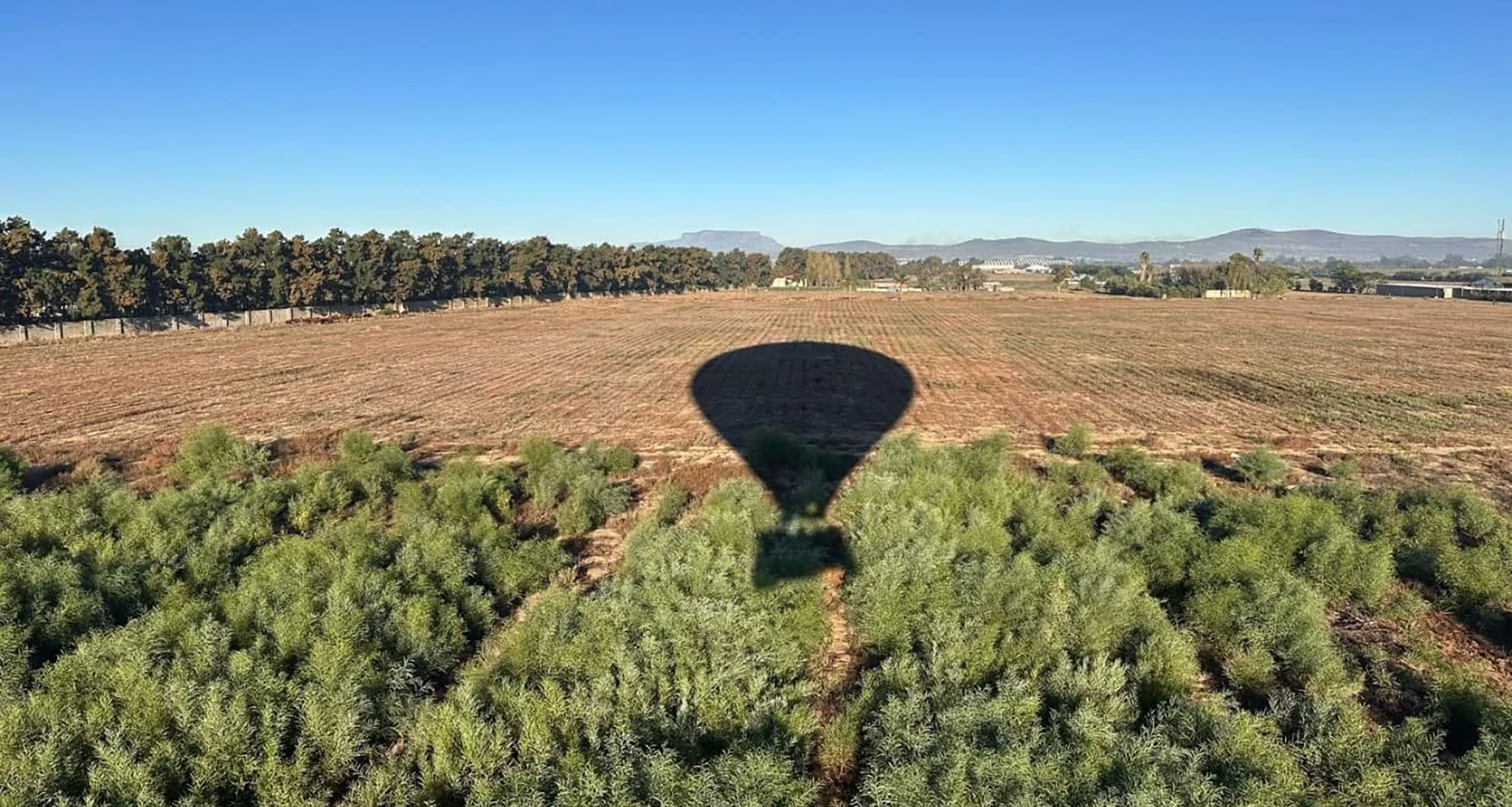 Ballooning - Slider 4 - 1920x1025