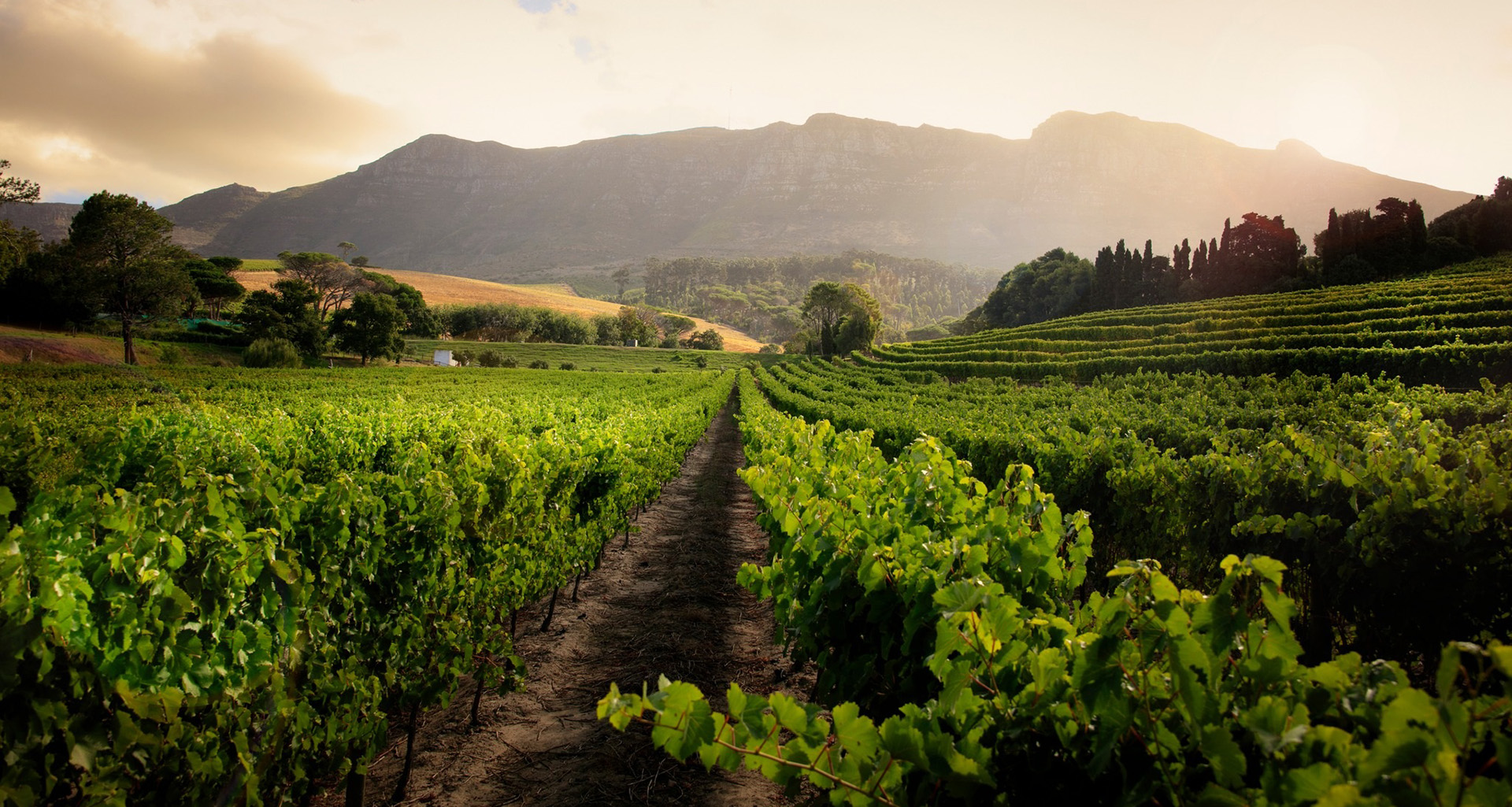 Beyond - Slider 8 - 1920x1025