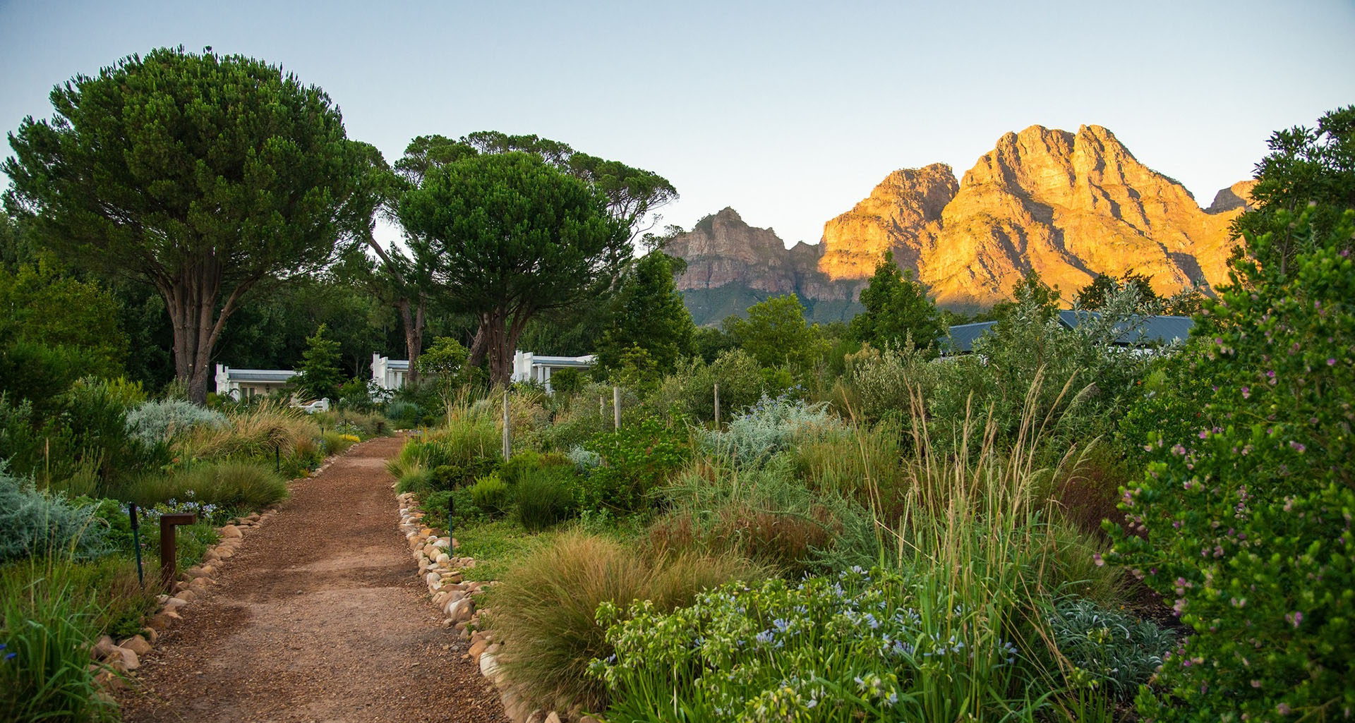 Boschendal - Slider 6 - 1920x1025