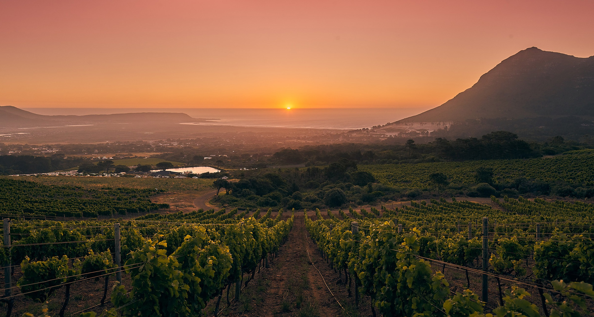 Cape Point Vineyards - Slider 3 - 1920x1025