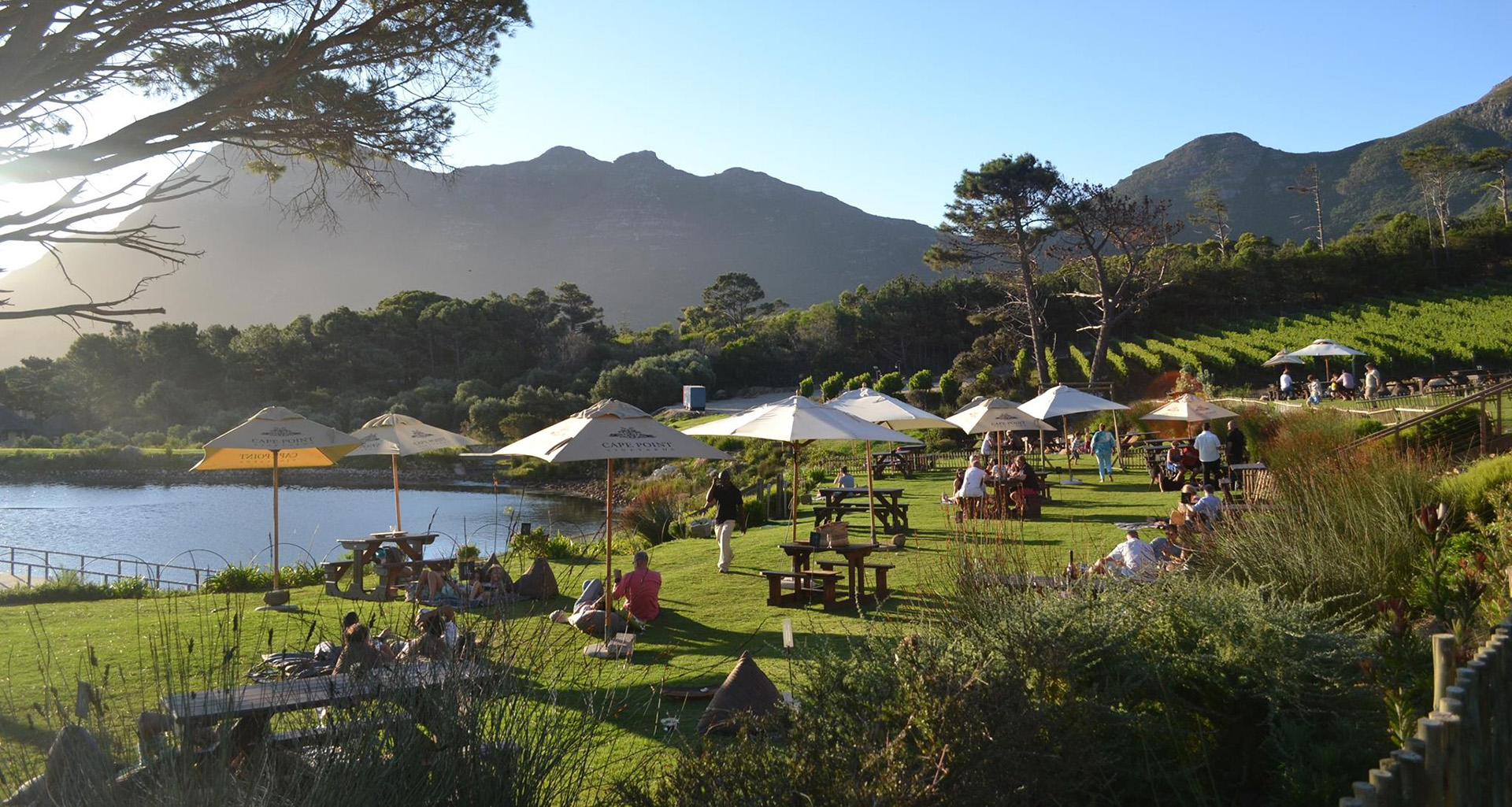 Cape Point Vineyards - Slider 5 - 1920x1025