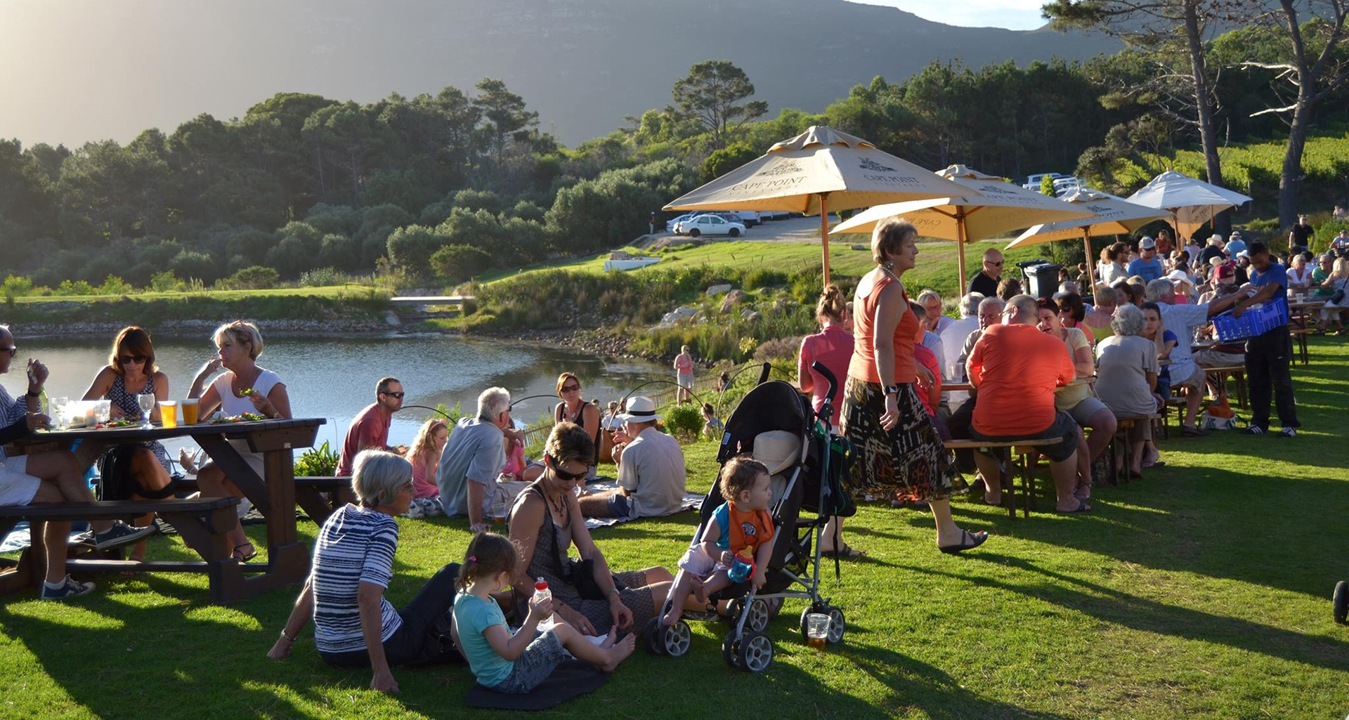 Cape Point Vineyards - Slider 7 - 1920x1025