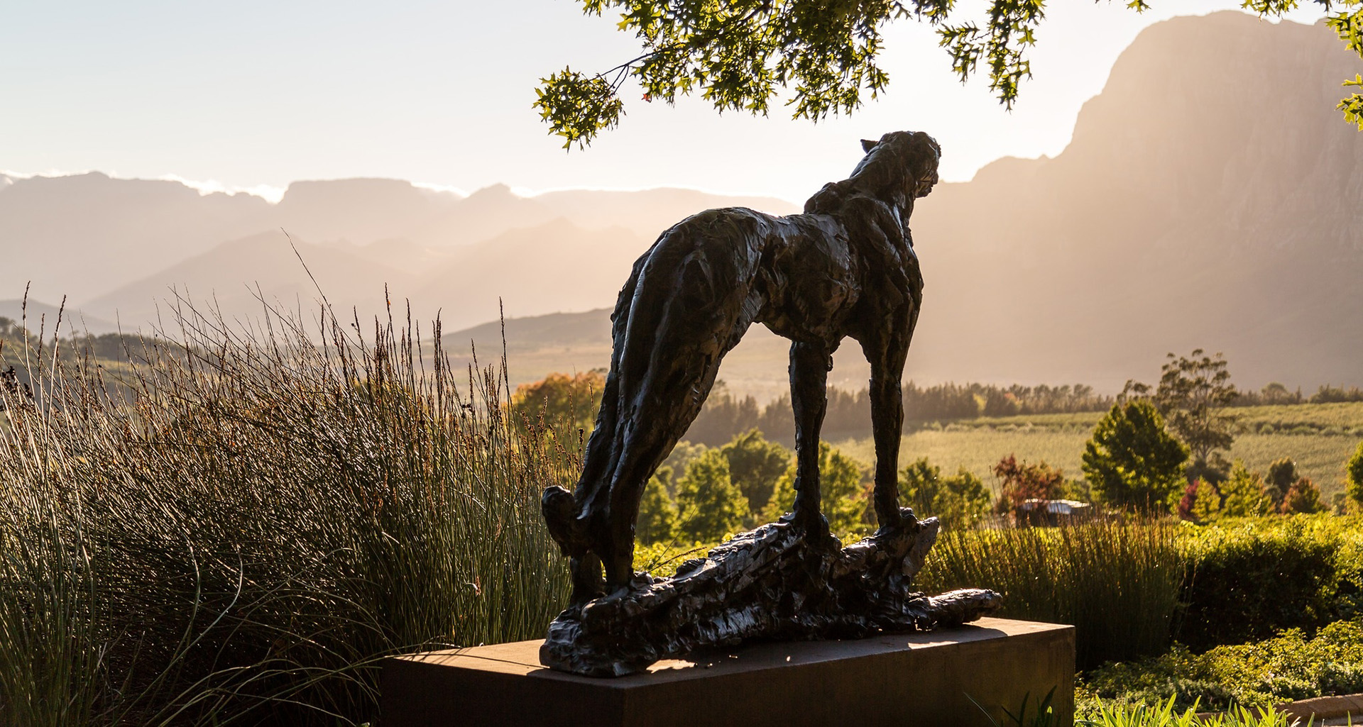 Delaire Graff - Slider 2 - 1920x1025