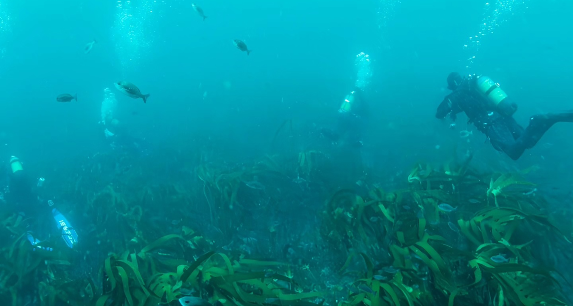 Dive Team - Slider 5 - 1920x1025