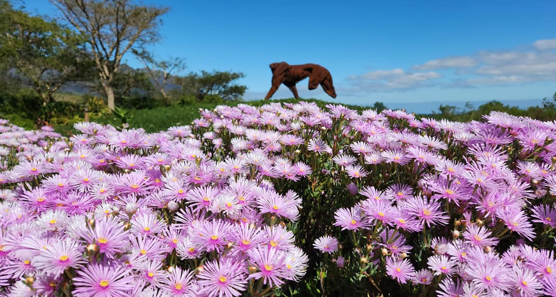 Dylan Lewis Sculptures - Slider 3 - 1920x1025