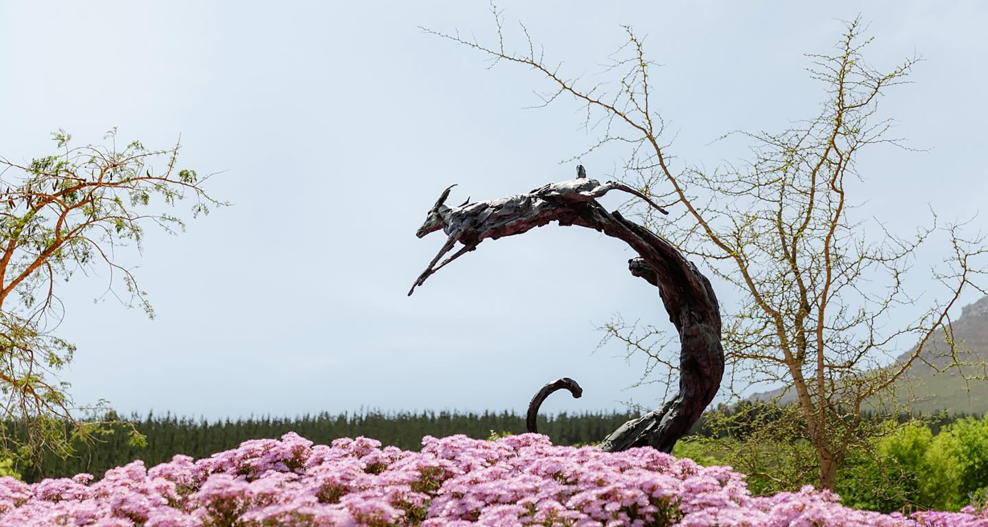 Dylan Lewis Sculptures - Slider 4 - 1920x1025