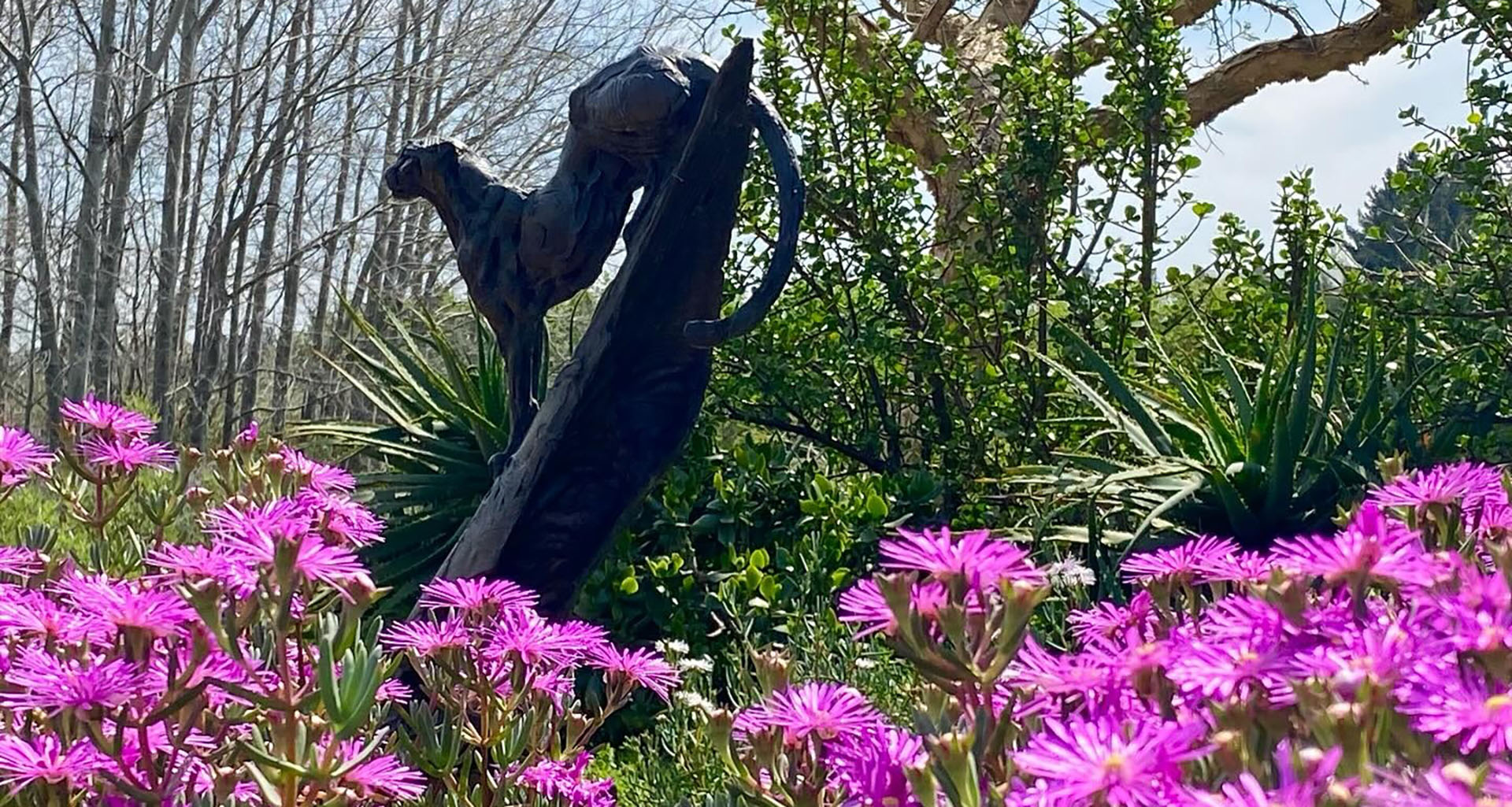 Dylan Lewis Sculptures - Slider 5 - 1920x1025