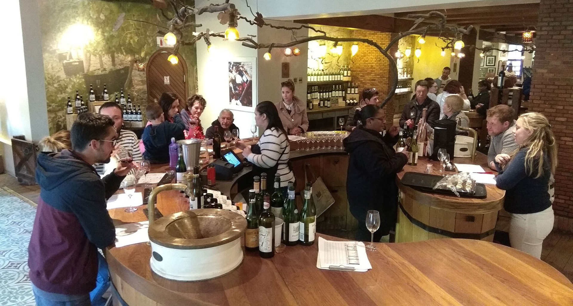 Easy Rider Wine Tours - Slider 1 - 1920 X 1025