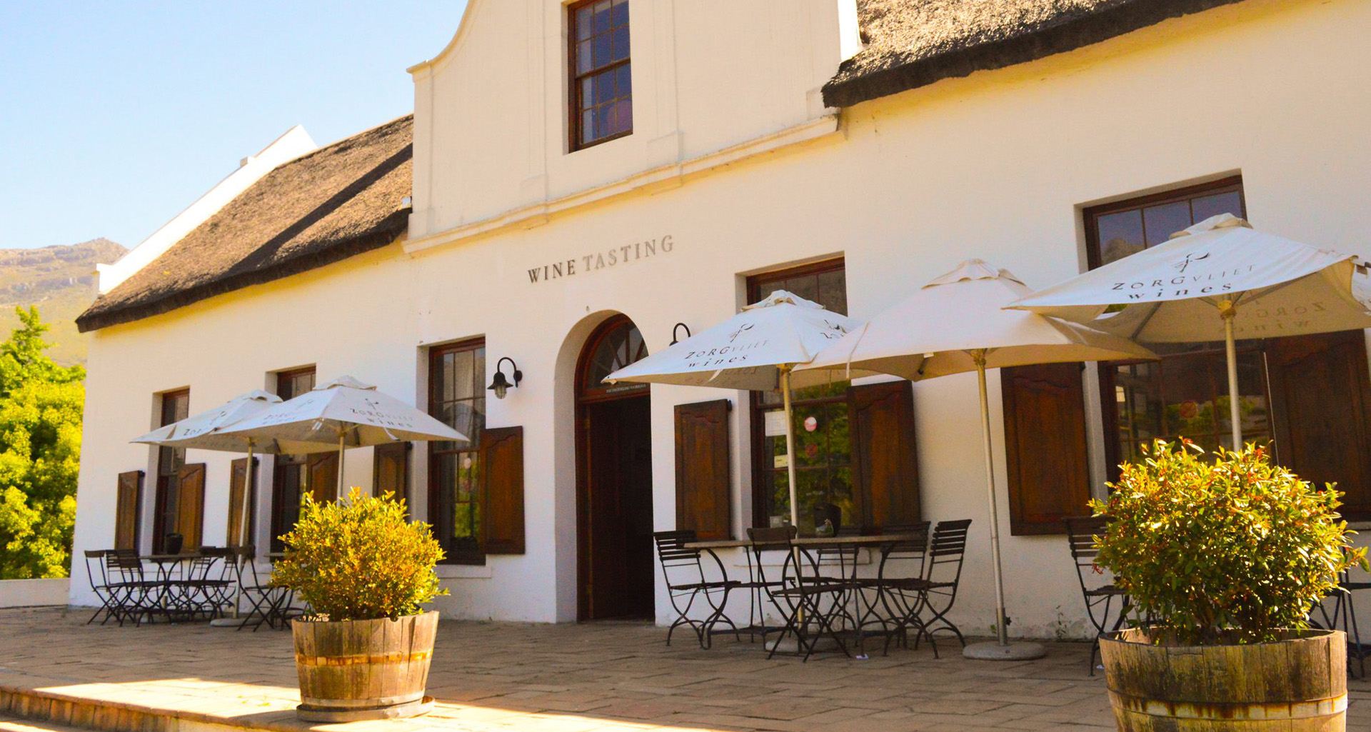 Easy Rider Wine Tours - Slider 2 - 1920 X 1025