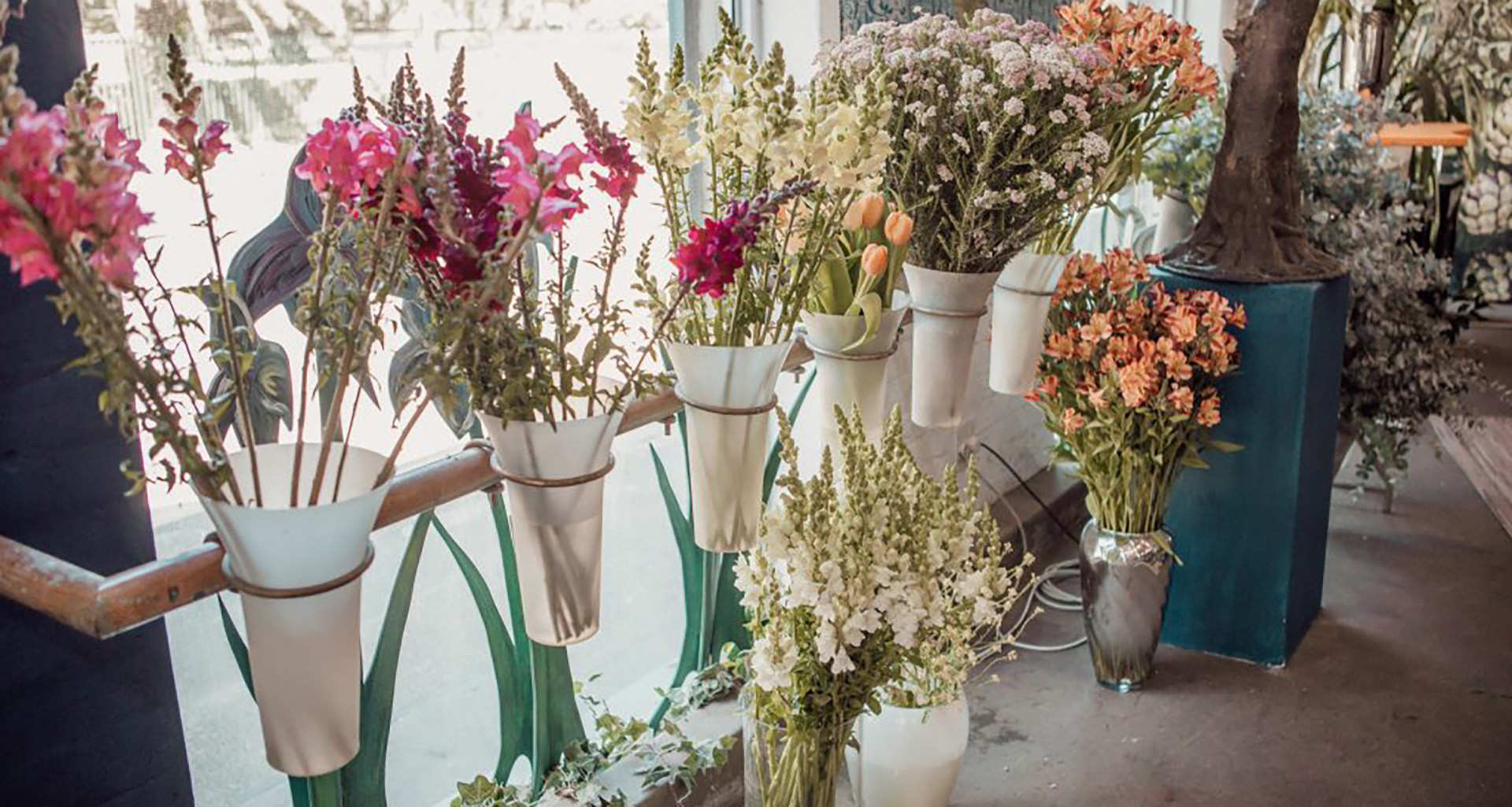 Flower cafe - Slider 2 - 1920x1025