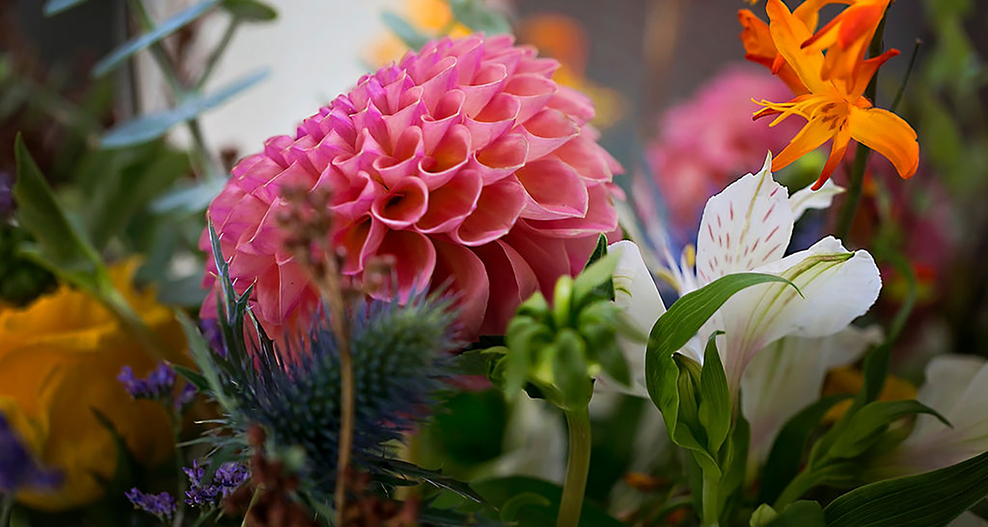 Flower cafe - Slider 4 - 1920x1025