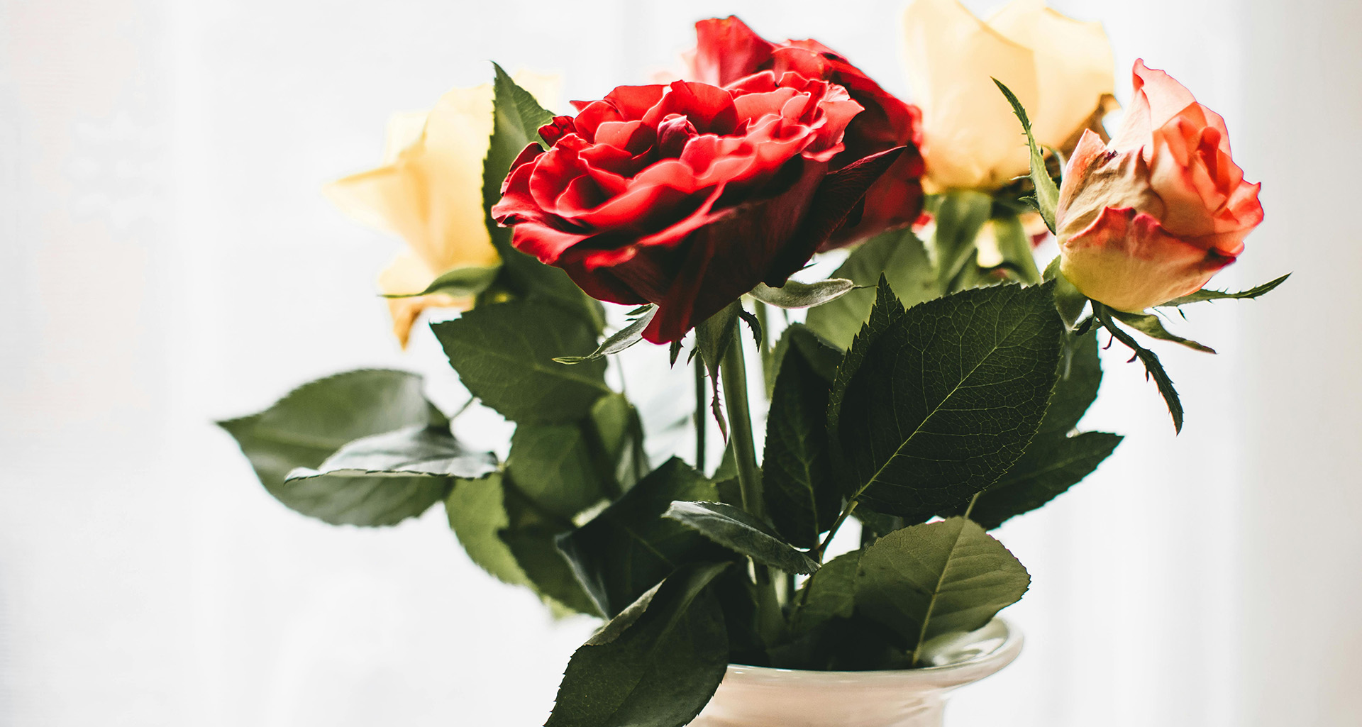 Haliema’s Flowers - Slider 1 - 1920x1025